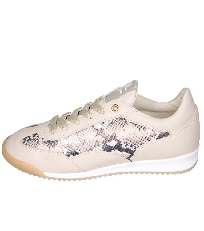 DL Sport 6955 DL Sport 6955