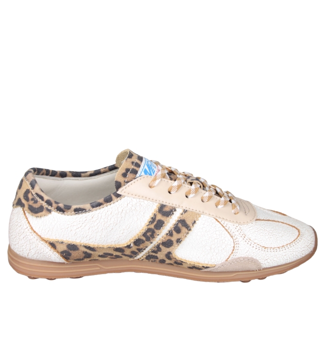 MRP Star Korea V3 MRP Star Korea V3