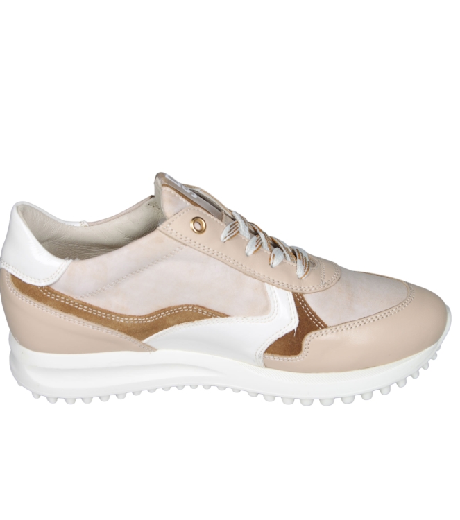 DL Sport 6975 DL Sport 6975