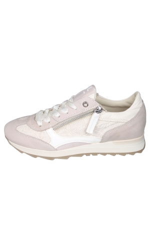 DL Sport 6959 DL Sport 6959