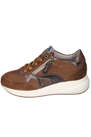 DL Sport 7131HK