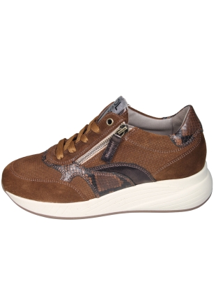 DL Sport 7131HK