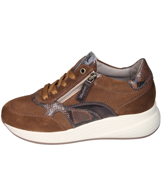 DL Sport 7131HK