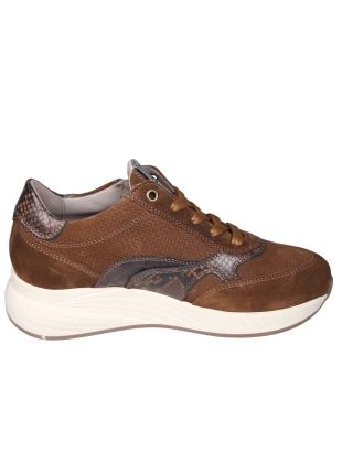 DL Sport DL Sport 7131HK Cognac Sneaker