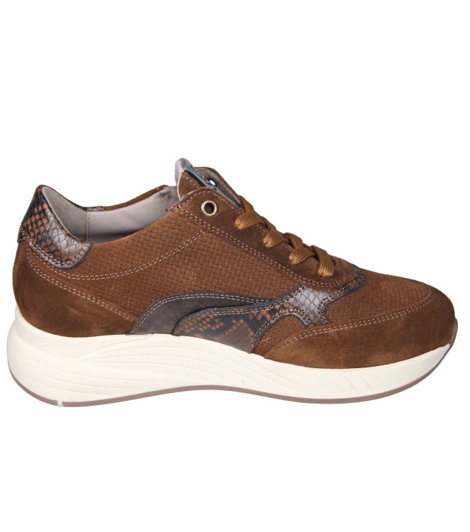 DL Sport 7131HK