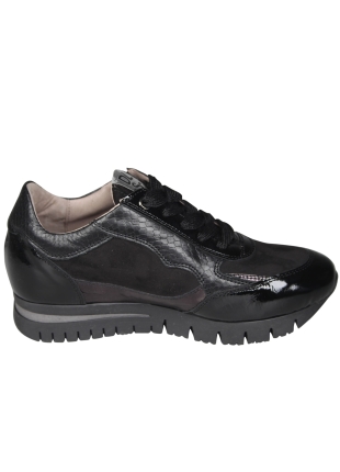 DL Sport DL Sport 7125HK Zwarte Sneaker