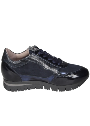DL Sport DL Sport 7125HK Blauwe Sneaker