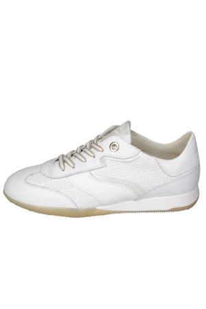 DL Sport 6572