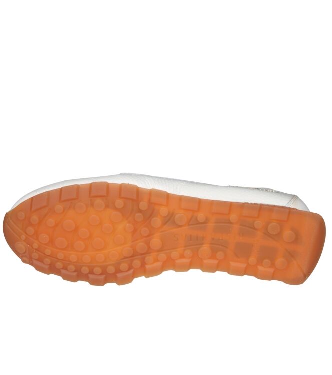 Hispanitas HV264603 Zinnia