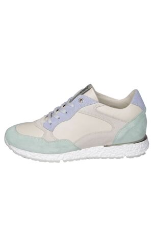 DL Sport 5245