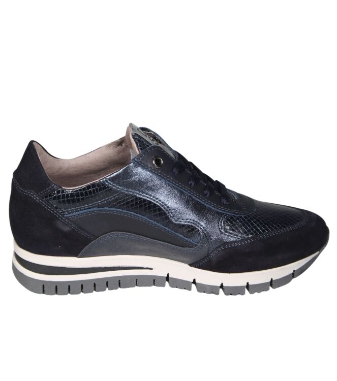 DL Sport 6725
