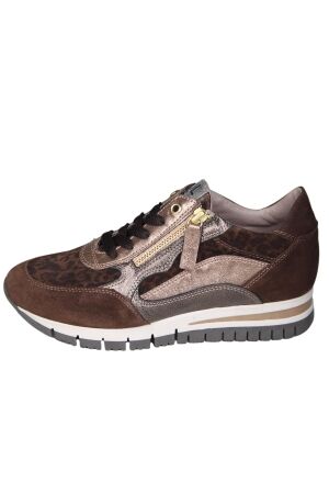 DL Sport 6725