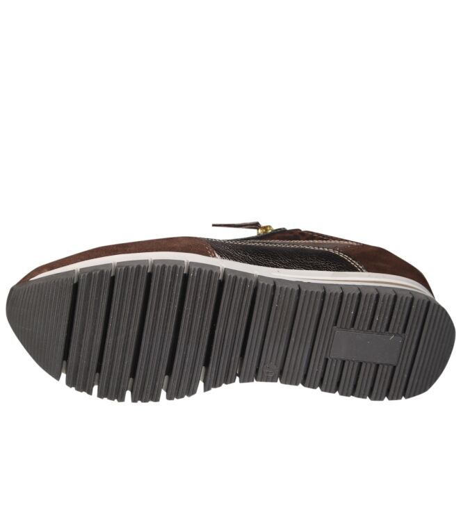 DL Sport 6725