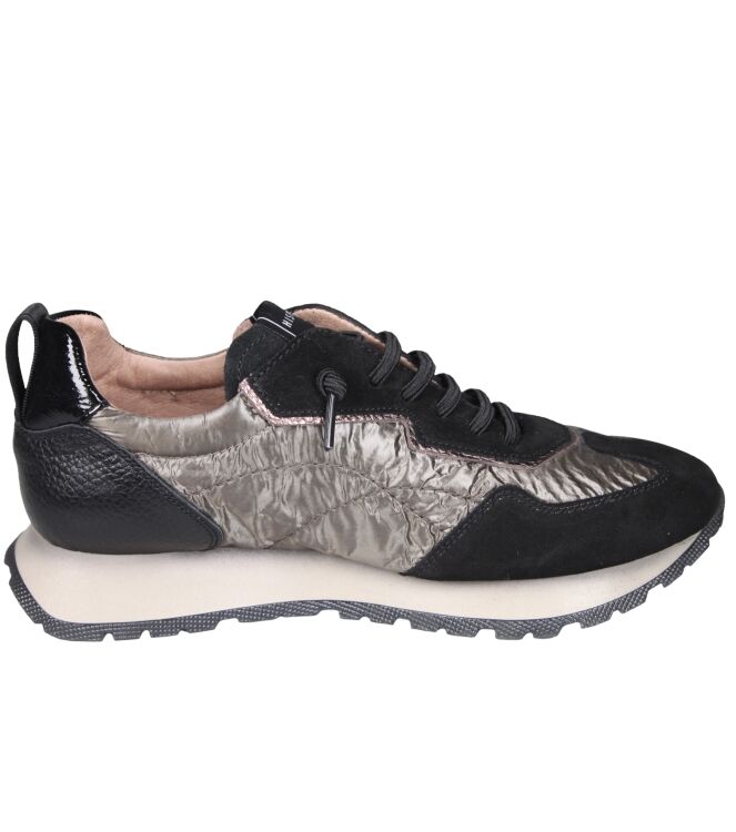 Hispanitas HI254209 Kansas