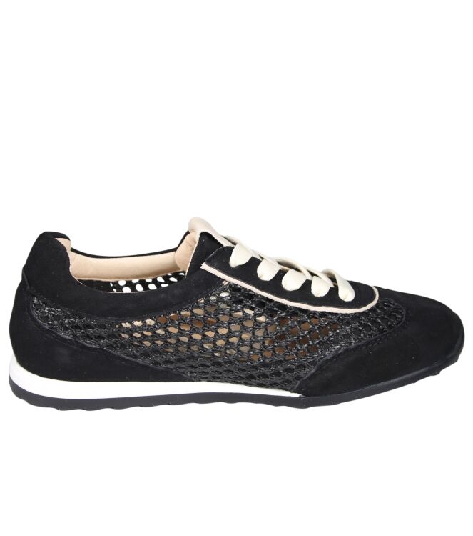 Softwaves 9.35.01 Maira