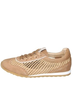 Softwaves 9.35.01 Maira