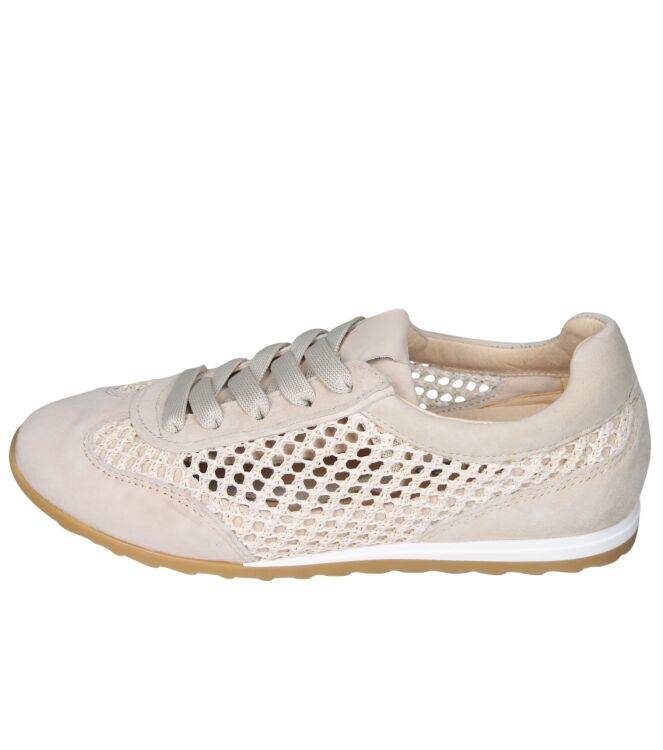 Softwaves 9.35.01 Maira