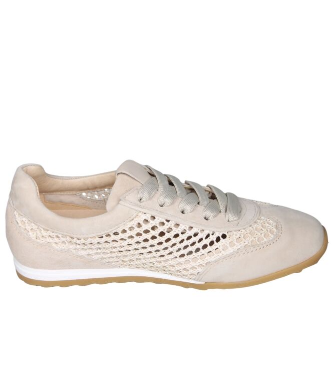 Softwaves 9.35.01 Maira