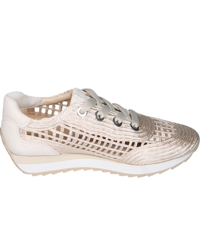 Softwaves 9.32.30 Delta