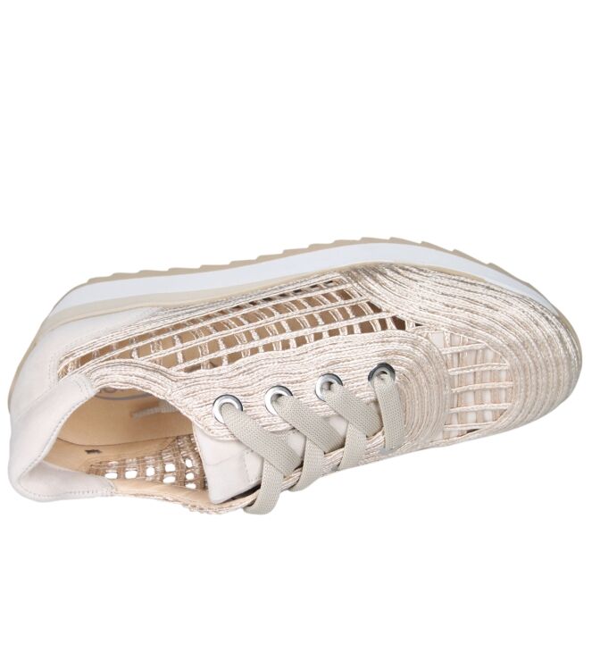 Softwaves 9.32.30 Delta