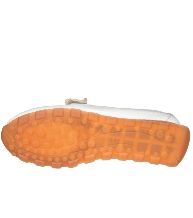 Hispanitas HV264865 Zinnia