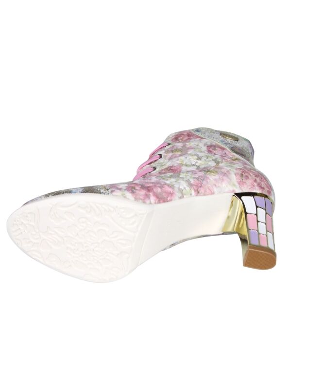 Laura Vita Alcbaneo 427