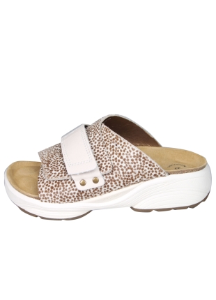 Xsensible Sunwalker 30800 Amarylis