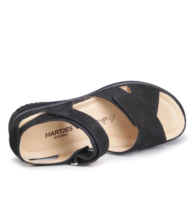 Hartjes 132.1113/99 Hartjes 132.1113/99