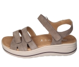 Kleur Taupe