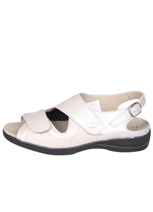 Solidus 73500 Lia