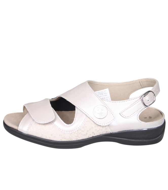 Solidus 73500 Lia Solidus 73500 Lia