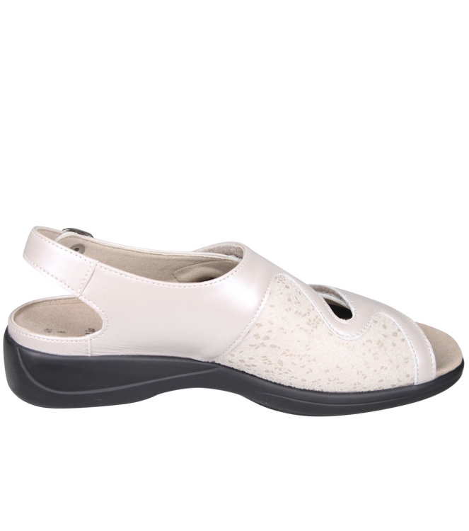 Solidus 73500 Lia Solidus 73500 Lia