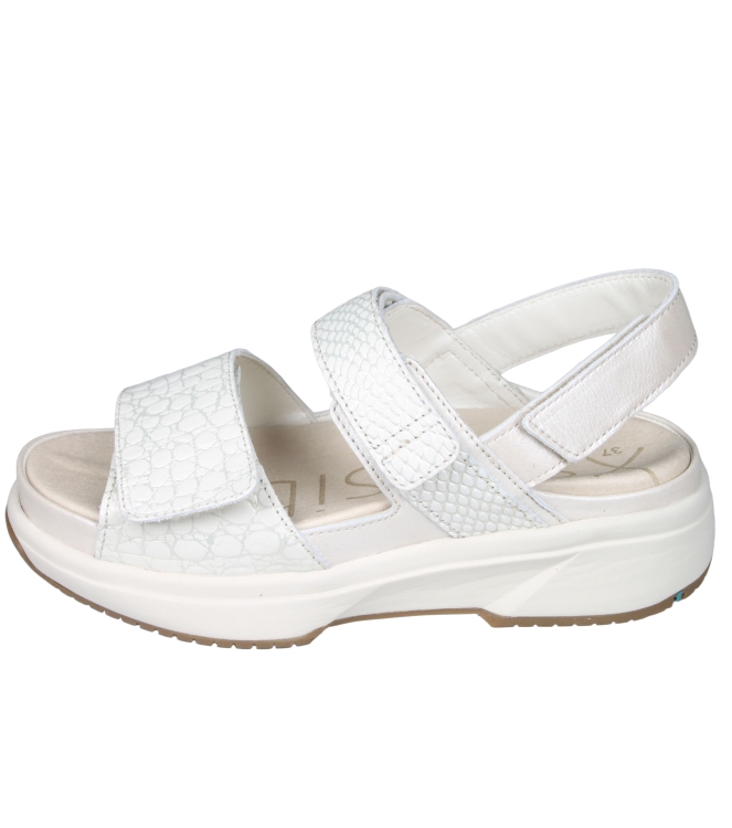 Xsensible 30700 Aruba