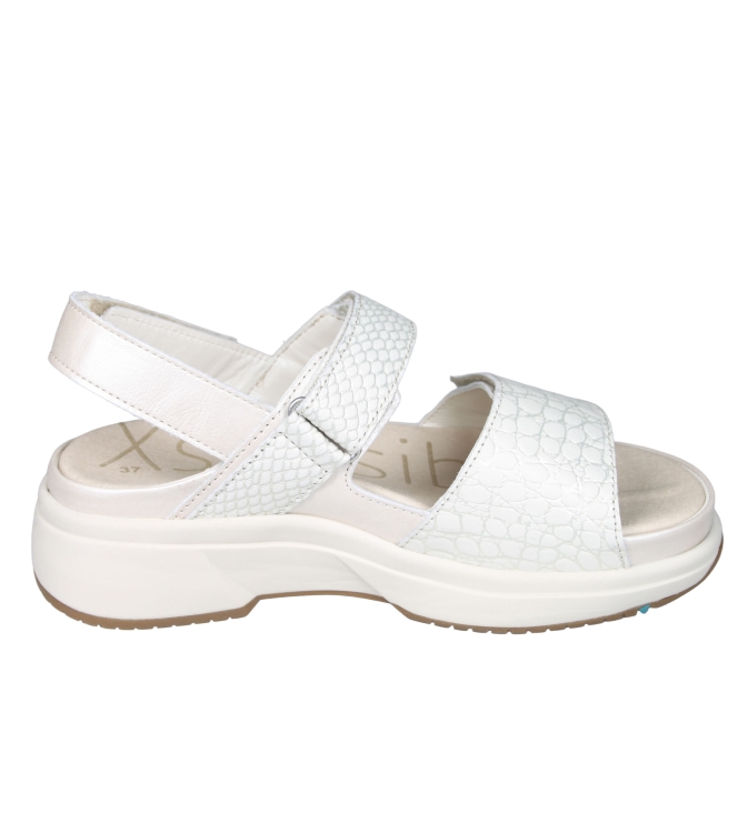 Xsensible 30700 Aruba