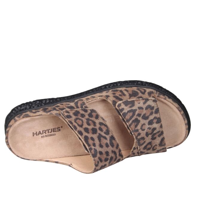 Hartjes 122.1220/40
