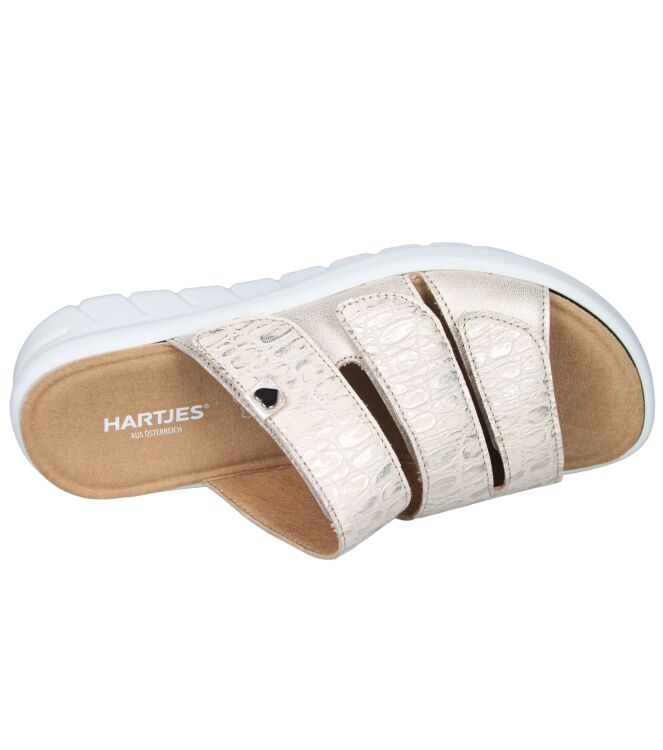 Hartjes 122.1801/41 Calypso