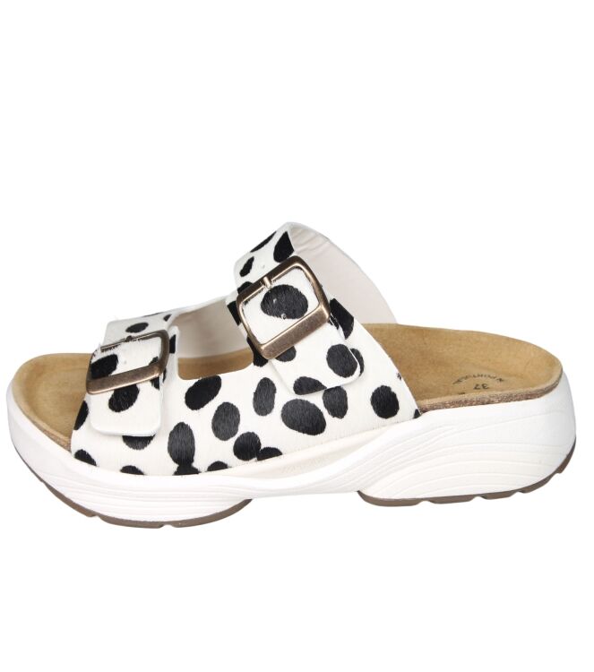 Xsensible 30803 Lotus