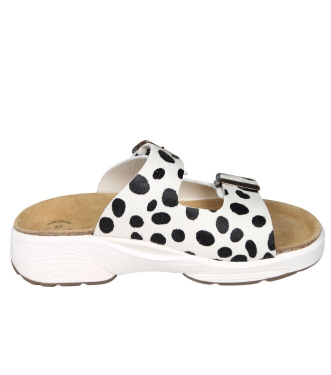 Xsensible 30803 Lotus