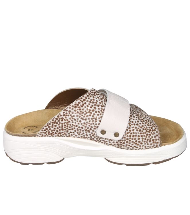 Xsensible 30800  Amarylis