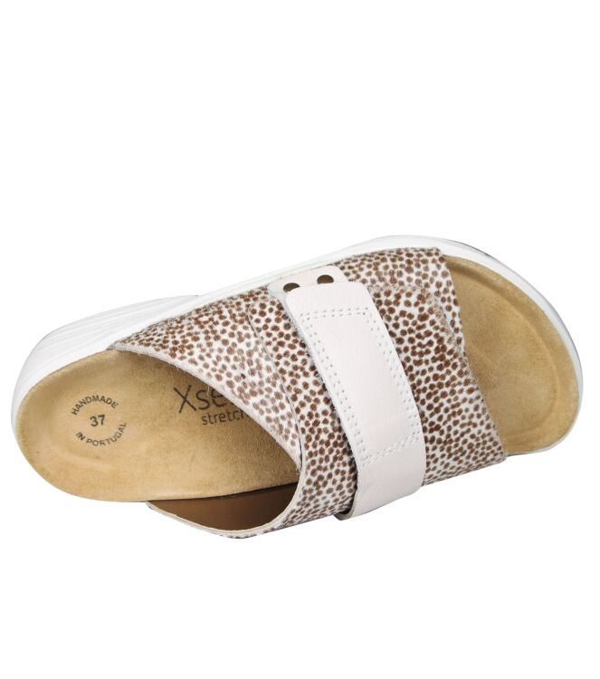 Xsensible 30800  Amarylis