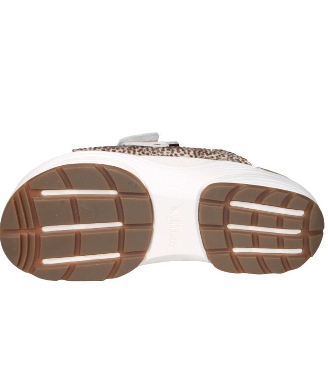 Xsensible 30800  Amarylis