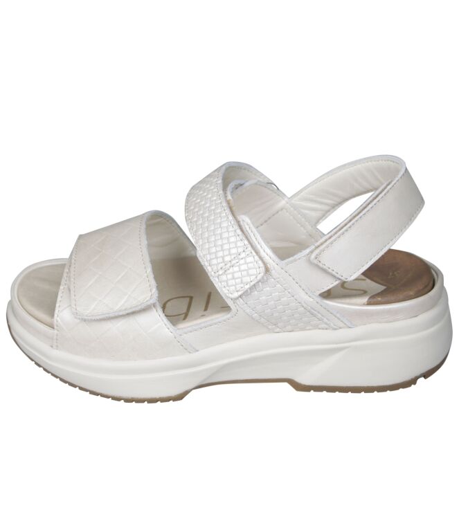 Xsensible 30700 Aruba