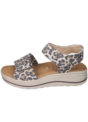 Hartjes Woogie 132.2002/40