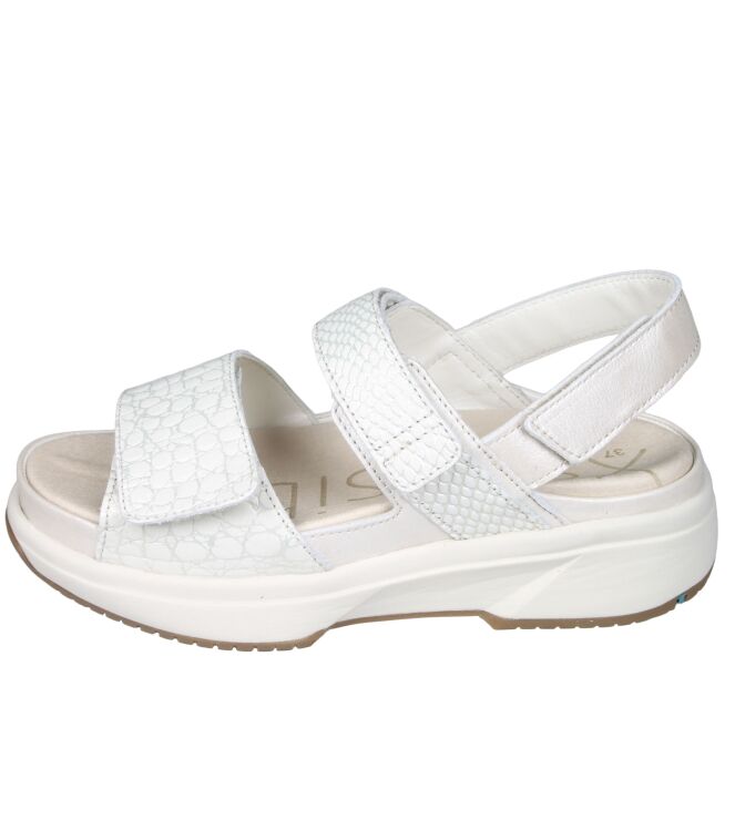 Xsensible 30700 Aruba