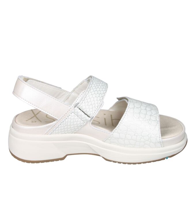 Xsensible 30700 Aruba