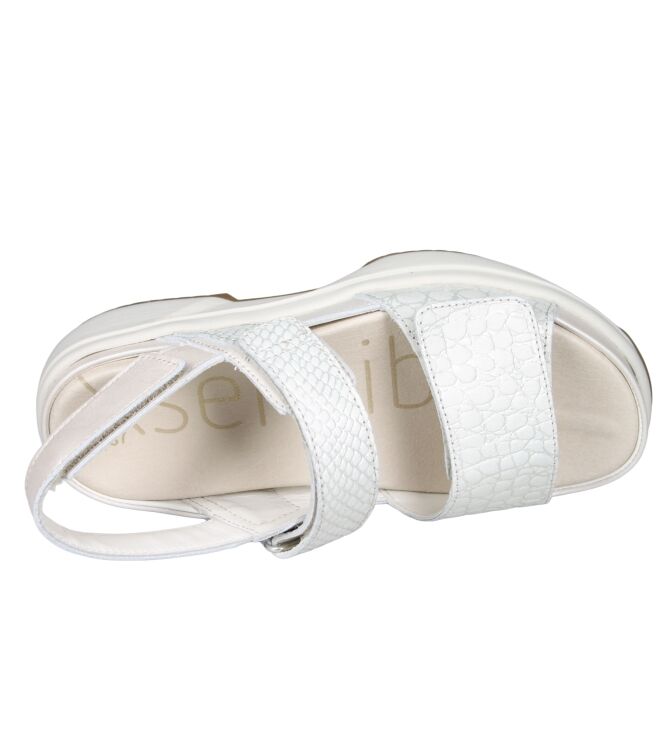 Xsensible 30700 Aruba