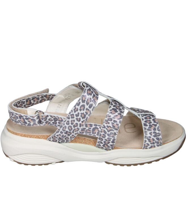 Xsensible 30321 Samos