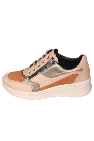 Solidus 46023 Holly Solidus 46023 Holly