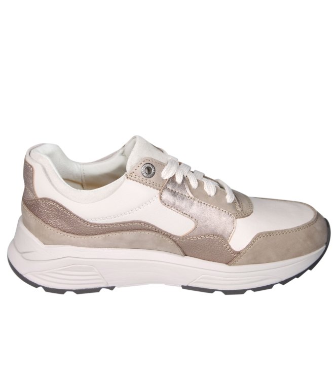 Xsensible 33000 Golden gate Xsensible 33000 Golden gate
