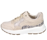 Kleur Beige